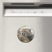 Aimant Cheetah Cub avec maman (In Situ (Lave-vaisselle))