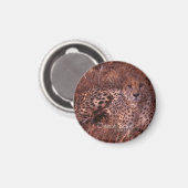 Aimant Cheetah Stare (Recto/Verso)