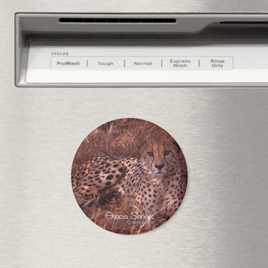 Aimant Cheetah Stare (In Situ (Lave-vaisselle))