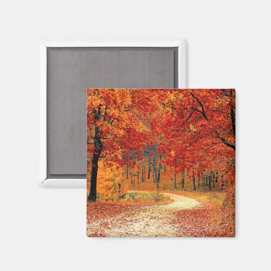 Aimant Chemin dans la forêt, automne (Recto/Verso)