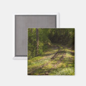 Aimant Chemin de fer abandonné dans une forêt (Recto/Verso)