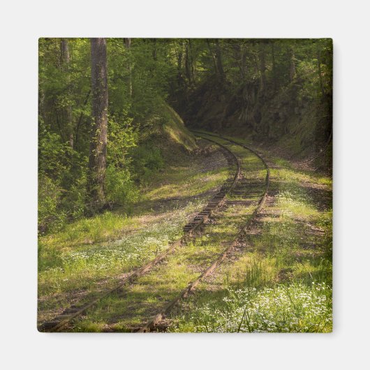 Aimant Chemin de fer abandonné dans une forêt (Devant)