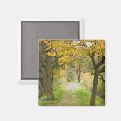 Aimant Chemin en automne (Recto/Verso)