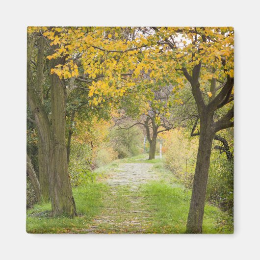 Aimant Chemin en automne (Devant)