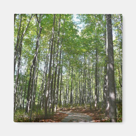 Aimant Chemin en bois centenaire II Ellicott City Marylan (Devant)