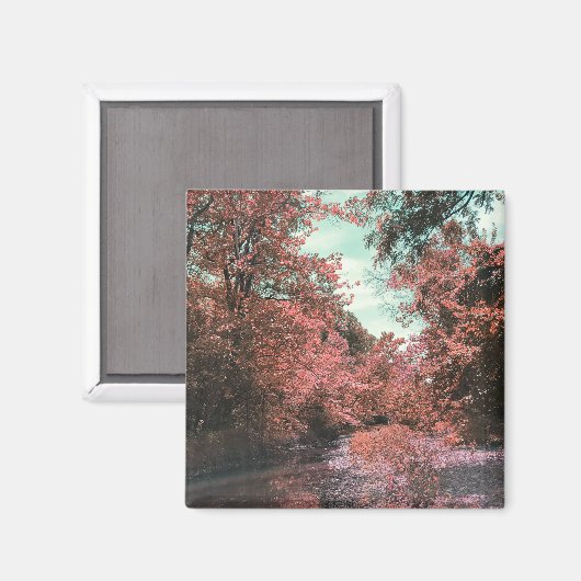 Aimant Chemin Pittoresque (Recto/Verso)