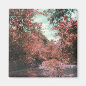 Aimant Chemin Pittoresque (Devant)