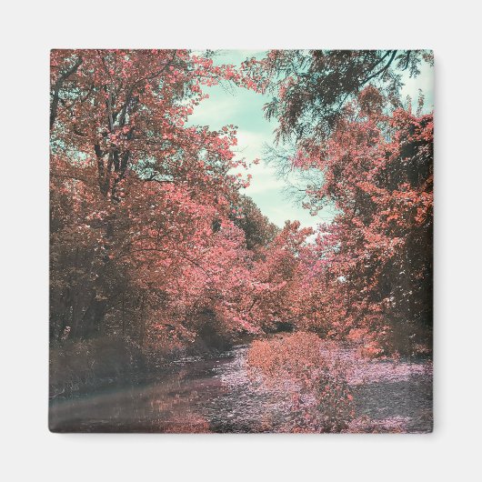 Aimant Chemin Pittoresque (Devant)