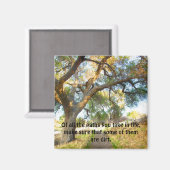 Aimant Chemins droit (Recto/Verso)