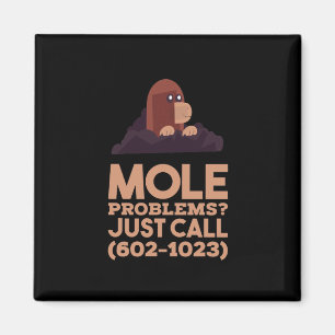 Aimant Chemistry - Mole Problems