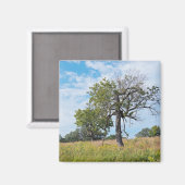 Aimant Chêne de Burr et prairie (Recto/Verso)