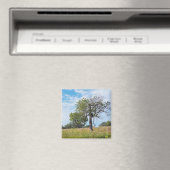 Aimant Chêne de Burr et prairie (In Situ (Lave-vaisselle))
