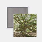 Aimant Chêne puissant d'ange (Recto/Verso)