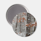 Aimant Chênes couverts de neige hiver Photographie de la  (Recto/Verso)