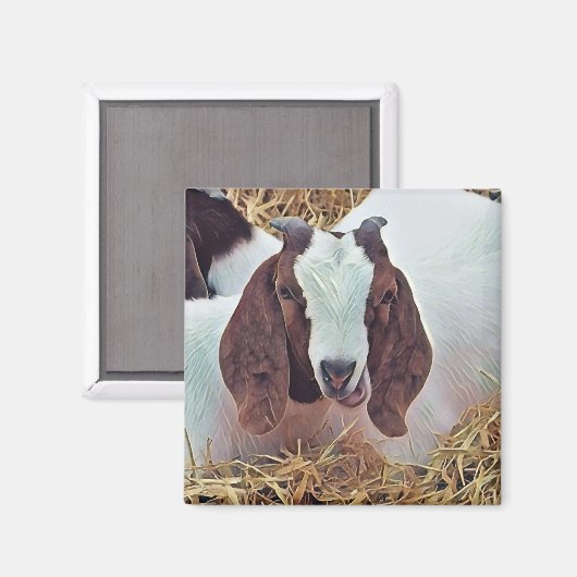 AIMANT CHÈQUE CUTE (Recto/Verso)