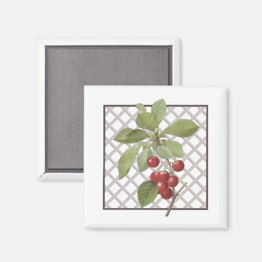 AIMANT CHERRIES (Recto/Verso)