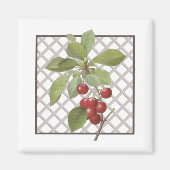AIMANT CHERRIES (Devant)