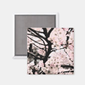 Aimant Cherry Blossom édité (Recto/Verso)