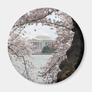 Aimant Cherry Blossom Washington DC