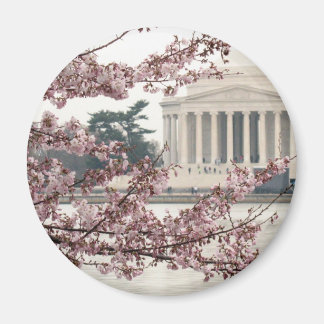 Aimant Cherry Blossom Washington DC