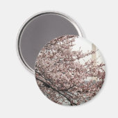 Aimant Cherry Blossom Washington DC (Recto/Verso)