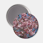 Aimant Cherry Blossoms et Blue Sky Spring Floral (Recto/Verso)