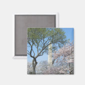 Aimant Cherry Blossoms et le monument de Washington à DC (Recto/Verso)