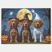 Aimant Chesapeake Bay Terrier Citrouille Halloween Funny (Recto)