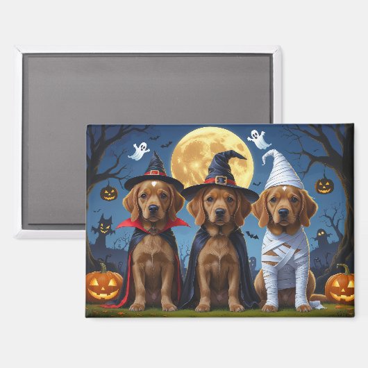 Aimant Chesapeake Bay Terrier Citrouille Halloween Funny (Recto/Verso)