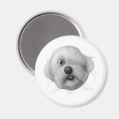 Aimant chestburster salomon (Recto/Verso)