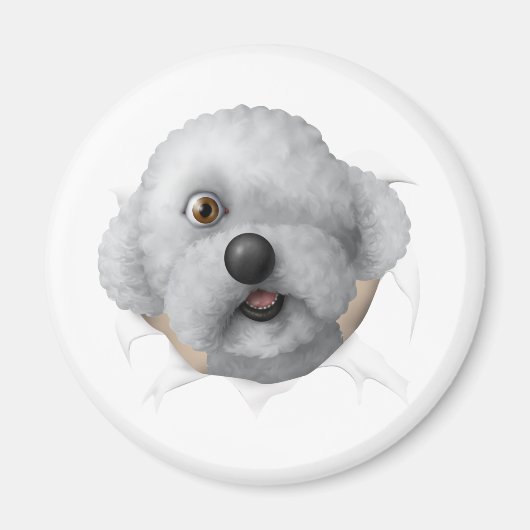 Aimant chestburster salomon (Devant)