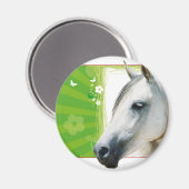 Aimant Cheval (Recto/Verso)
