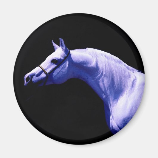 Aimant Cheval (Devant)