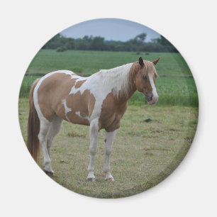 Aimant Cheval
