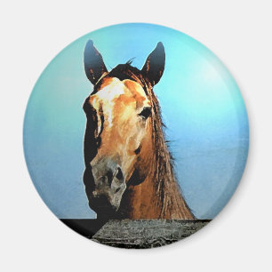 Aimant Cheval