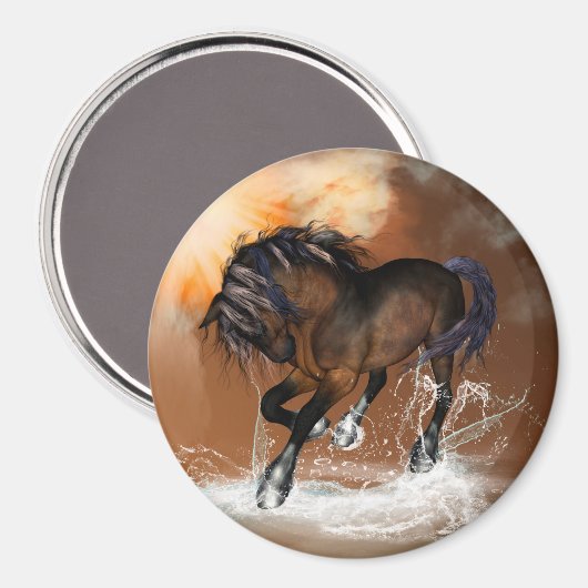 Aimant Cheval (Recto/Verso)