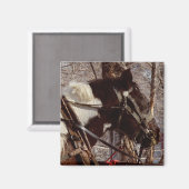 Aimant Cheval à bascule Pinto (Recto/Verso)