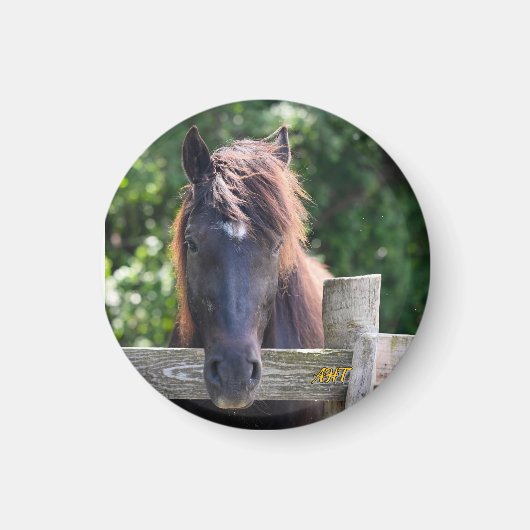 Aimant Cheval AHT (Devant)