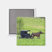 Aimant Cheval Amish et buggy près de Berlin, Ohio. (Recto/Verso)