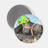 Aimant Cheval animal de fête (Recto/Verso)