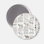 Aimant Cheval Antique Publicité Journal Art (Recto/Verso)