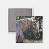 Aimant Cheval Appaloosa dans un champ (Recto/Verso)