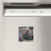 Aimant Cheval Appaloosa dans un champ (In Situ (Lave-vaisselle))