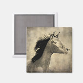 Aimant Cheval arabe (Recto/Verso)