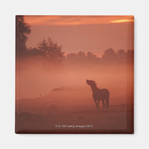 Aimant Cheval au lever de soleil