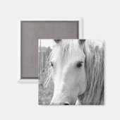 Aimant Cheval avec Herbe (Recto/Verso)