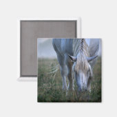 Aimant Cheval blanc (Recto/Verso)