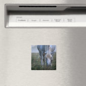 Aimant Cheval blanc (In Situ (Lave-vaisselle))