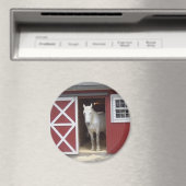 Aimant Cheval Blanc Dans La Grange Rouge (In Situ (Lave-vaisselle))