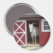Aimant Cheval Blanc Dans La Grange Rouge (Recto/Verso)
